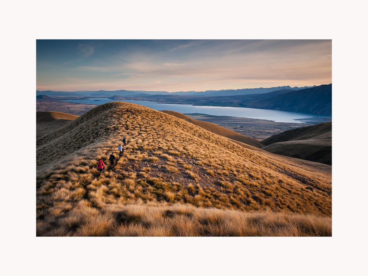 אגם טקפו Alpine Suites On Tekapo Luxury B&B מראה חיצוני תמונה